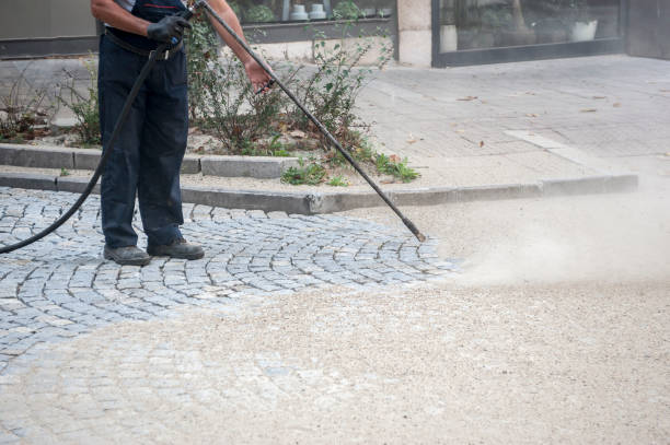 Best Driveway Pressure Washing  in Sumiton, AL